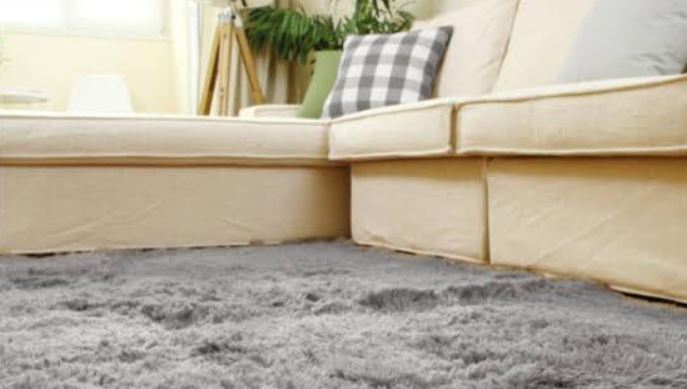 Whiz Carpet Cleaning 